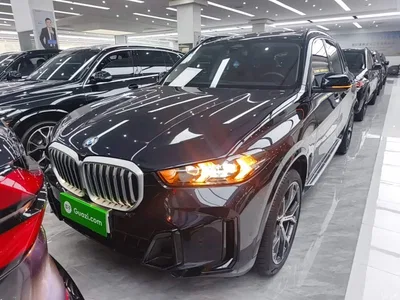 2023 BMW X5 xDrive 30Li Premium M Sport Black Night Package, фото 3, лот 11067924
