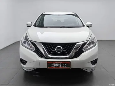2019 Nissan Murano 2.5L XE 2WD Elite (China V), фото 3, лот 10404368