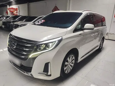 2020 GAC Trumpchi Trumpchi M8 Pilot 390T Premium Edition, фото 1, лот 11200779