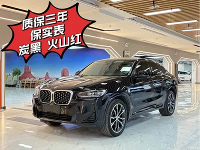 2022 BMW X4 xDrive 30i M Sport Package, фото 1, лот 10476821