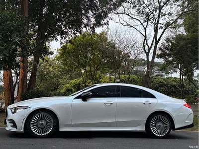2020 Mercedes-Benz CLS 300 Dynamic, фото 4, лот 10299393