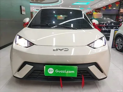 2024 BYD Seagull Glory Edition 305km Vitality Edition, фото 3, лот 11139311