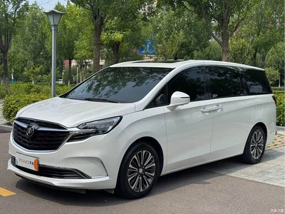2020 Buick GL8 Model ES Landglory 653T Luxury, фото 1, лот 10252089
