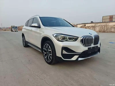 2022 BMW X1 xDrive25Li Premium, фото 3, лот 10465739