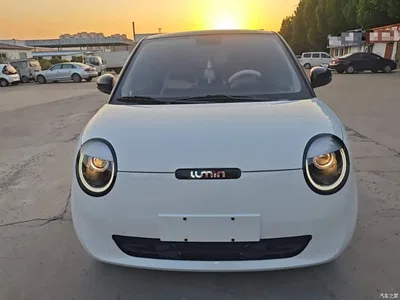 2025 Changan Qiyuan Changan Lumin 205km Fragrant Infusion Edition, фото 3, лот 10412583