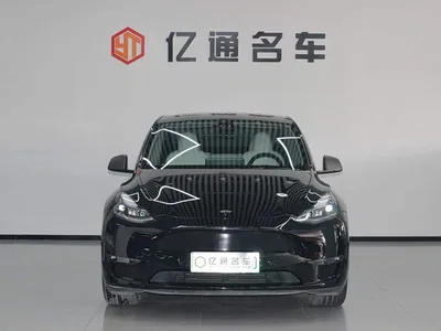 2021 Tesla Model Y Standard Range Rear-Wheel Drive, фото 2, лот 11218593