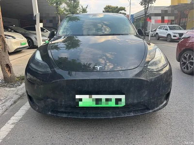 2022 Tesla Model Y Rear-Wheel Drive Version, фото 2, лот 10770949