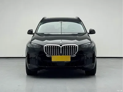 2023 BMW X5 xDrive 30Li Premium M Sport Black Night Package, фото 2, лот 10419313