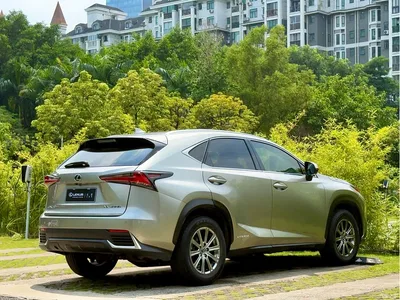 2020 Lexus NX 300h FWD F Sport China VI, фото 4, лот 10605739