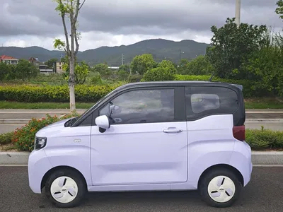 2022 QQ New Energy QQ Ice Cream 170km Sundae LFP, фото 3, лот 11218312