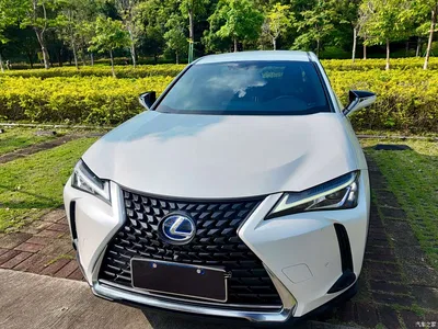 2019 Lexus UX 260h Explorer Cool Edition (China V), фото 1, лот 10315907