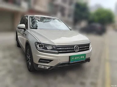 2019 Volkswagen Tiguan L Facelift 280TSI Auto 2WD Panorama Comfort China VI, фото 3, лот 10461578