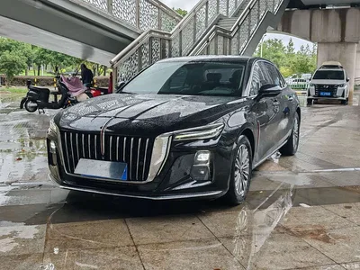 2023 Hongqi H5 1.5T DCT Smart Connect Joy Edition, фото 1, лот 10288409