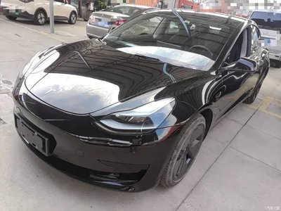 2022 Tesla Model 3 Model Rear-Wheel Drive Version, фото 1, лот 10369599
