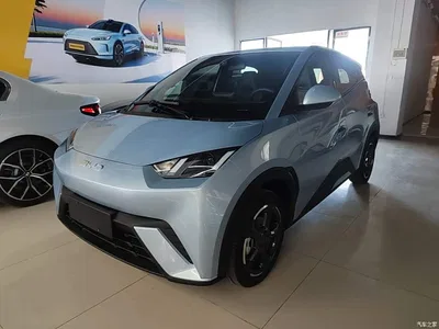 2024 BYD Seagull Glory Edition 305km Freedom Edition, фото 2, лот 10262847