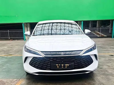 2024 BYD Qin L DM-i 80KM Leading Edition, фото 2, лот 10765920