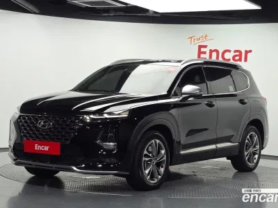 2019 Hyundai Santafe Gasoline 2.0T 4WD, фото 1, лот 10231497