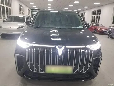 2022 Voyah Auto Voyah Dreamer Low Carbon Edition Home, фото 3, лот 11549021