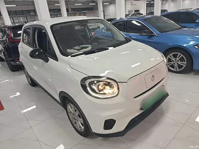 2022 Leapmotor T03 Jade Edition, фото 4, лот 10441673