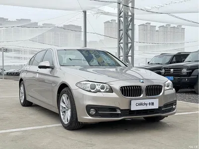 2014 BMW 5 Series 520Li Elegance, фото 3, лот 11225894