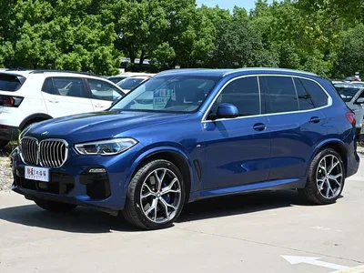 2019 BMW X5 (Import) xDrive40i Exclusive M Sport Package, фото 1, лот 10577697