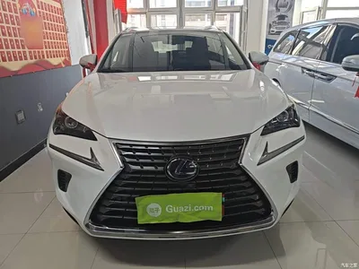 2020 Lexus NX 300h FWD F Sport China VI, фото 3, лот 10318983