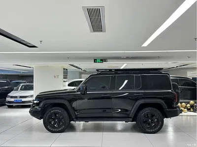 2021 Tank 300 Off-road Version 2.0T Conqueror, фото 4, лот 11438069