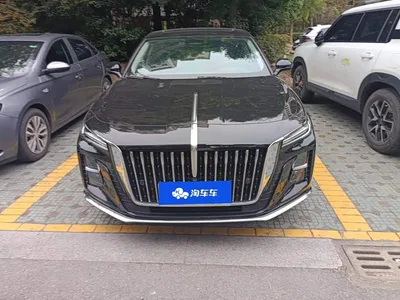 2025 Hongqi H5 2.0T Automatic Flag Celebration 500,000 Units Anniversary Edition, фото 3, лот 10693414
