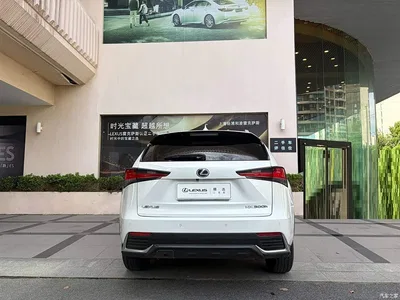 2018 Lexus NX Model 300h FWD Fengshang Edition China V, фото 4, лот 10317094