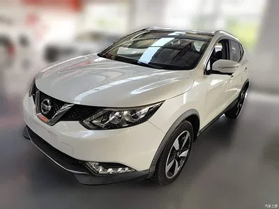 2016 Nissan Qashqai 2.0L CVT Luxury Edition, фото 3, лот 11196883