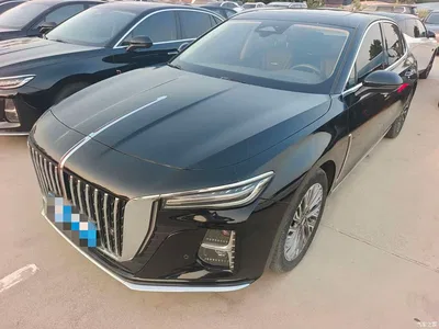 2024 Hongqi H5 2.0T Automatic Smart Connect Flag Smooth Edition, фото 1, лот 10288097