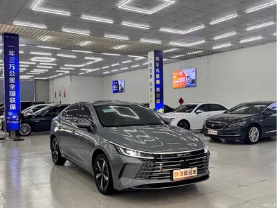 2022 BYD Destroyer 05 DM-i 55KM Premium, фото 3, лот 10254968