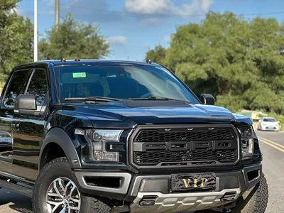 2018 Ford F-150 Raptor 3.5T Raptor Performance Enhanced Edition, фото 3, лот 10294176