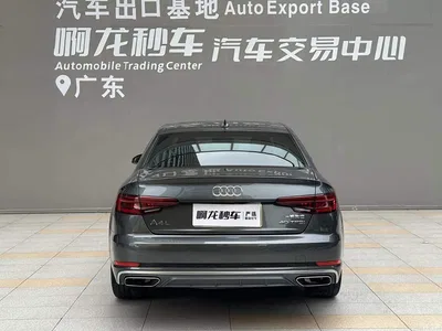 2019 Audi A4L 40 TFSI Fashion (China VI), фото 4, лот 10235176
