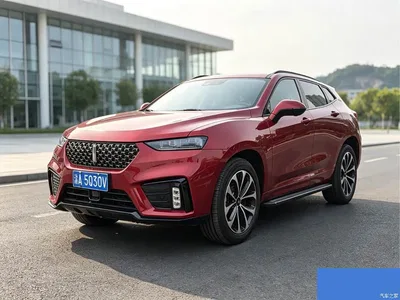 2020 WEY VV7 2.0T Super Luxury, фото 1, лот 11196483