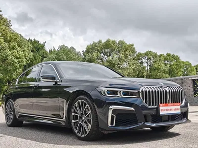 2019 BMW 7 Series Facelift 740Li xDrive Executive Luxury Package, фото 3, лот 10236899