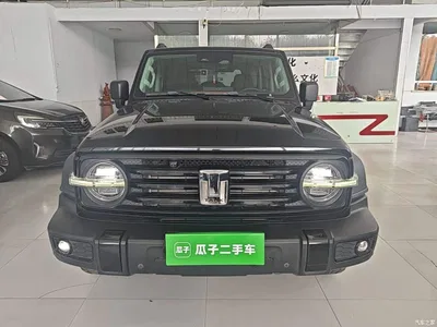 2021 Tank 300 Off-road Edition 2.0T Challenger, фото 3, лот 10389559