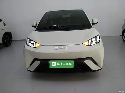 2024 BYD Seagull Glory Edition 305km Freedom Edition, фото 3, лот 10262755