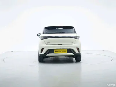 2025 Byd Dolphin, фото 4, лот 10244337
