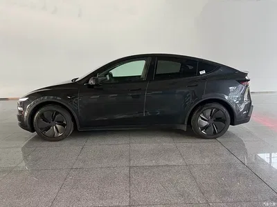 2025 Tesla Model Y Rear-Wheel Drive, фото 2, лот 11249015