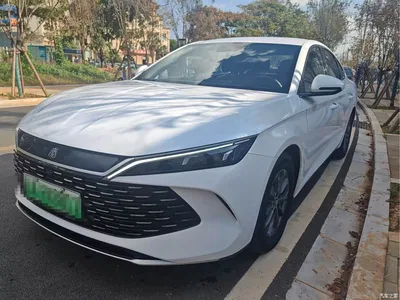2024 BYD Qin L DM-i 80KM Superior, фото 1, лот 11139587