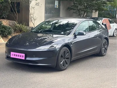 2025 Tesla Model 3 Model Rear-Wheel Drive Edition, фото 1, лот 10357012