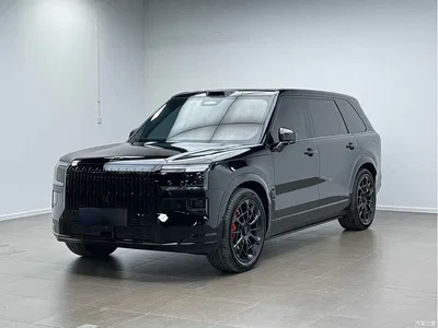 2025 ZEEKR 9X Model Standard, фото 1, лот 10459935