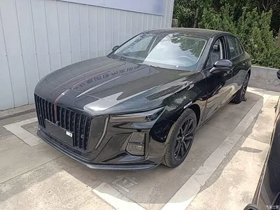 2025 Hongqi H5 2.0T Automatic Mystic Shadow, фото 2, лот 10289647