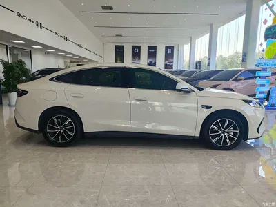 2025 BYD Seal 06 New Energy DM-i Smart Drive Edition 120KM Prestige, фото 4, лот 10274402