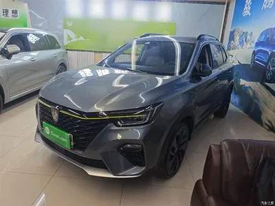 2020 Roewe RX5 New Energy ePLUS Guochao Ronglin Luxury Edition, фото 1, лот 10341983