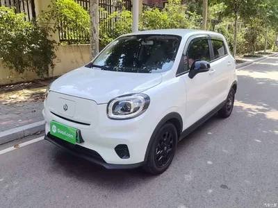 2023 Leapmotor T03 310 Light Edition, фото 1, лот 10441980