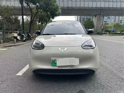 2024 Wuling Motors Wuling Bingo 333km Smart Connect Edition, фото 3, лот 10367843