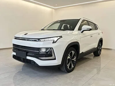 2021 Sehol E40X Model Golden Armor Edition, фото 1, лот 11153452