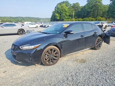 2023 NISSAN MAXIMA SR, фото 1, лот 10743276
